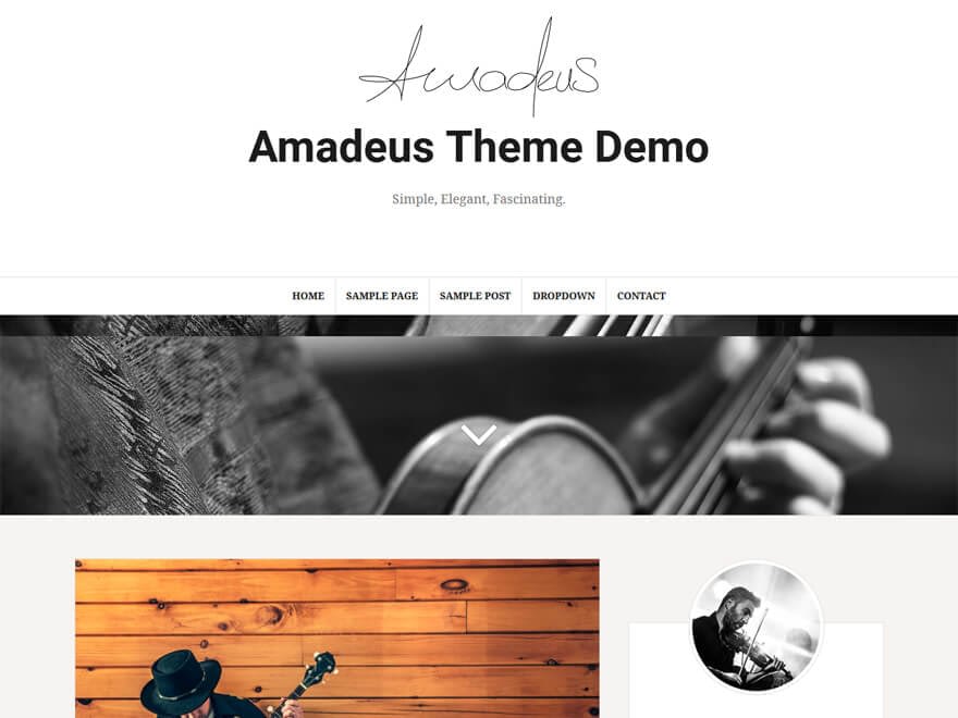 Amadeus - Free WordPress Blog Themes