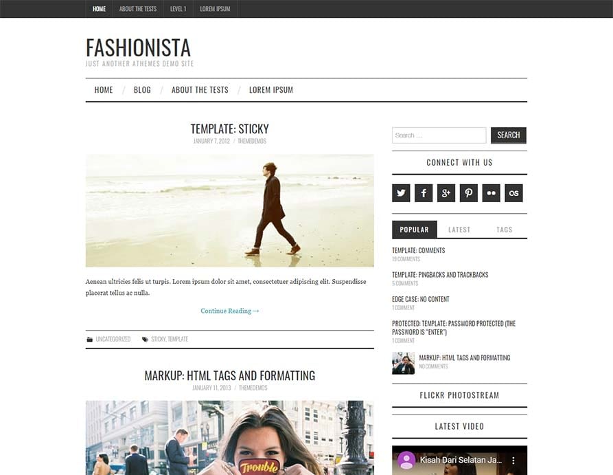 Fashionista-magazine-theme