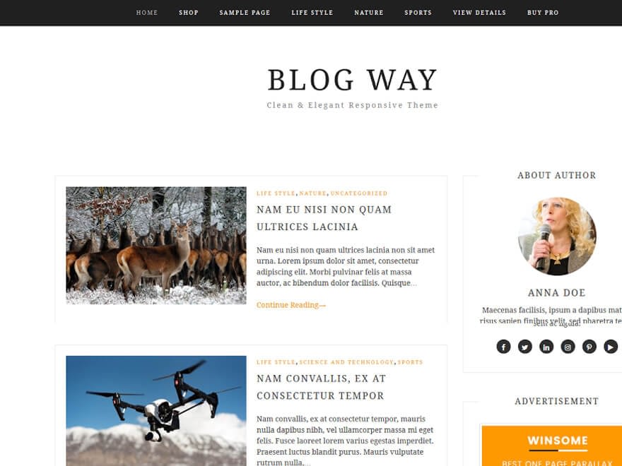 Blog Way - Free WordPress Blog Themes