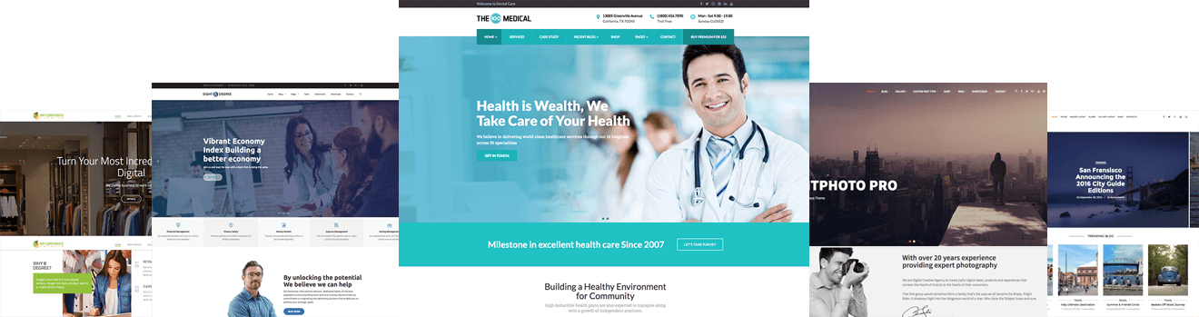 Premium WordPress Themes Bundle for Just $99